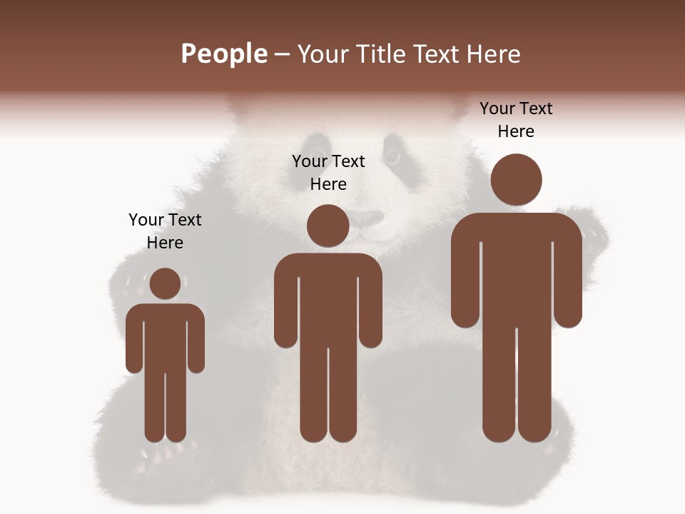 Cuddly China Ursidae PowerPoint Template