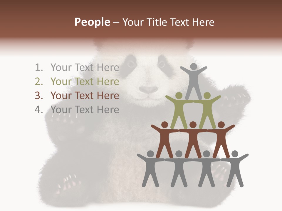 Cuddly China Ursidae PowerPoint Template