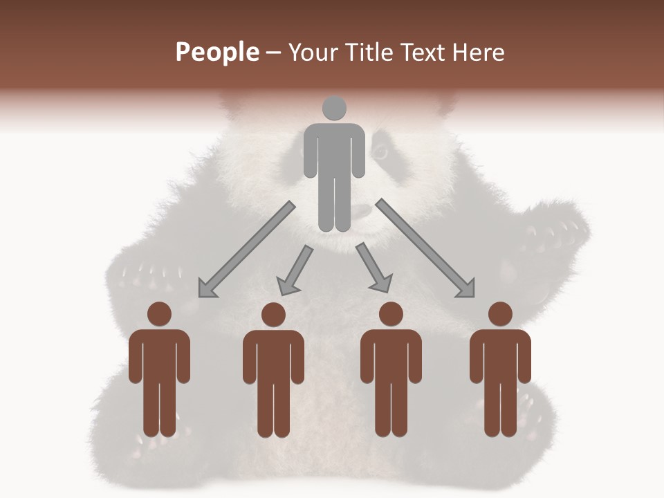 Cuddly China Ursidae PowerPoint Template