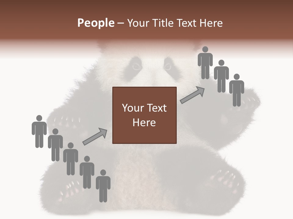 Cuddly China Ursidae PowerPoint Template