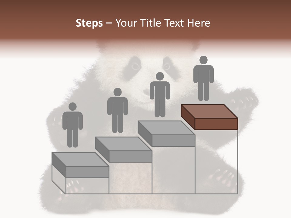 Cuddly China Ursidae PowerPoint Template