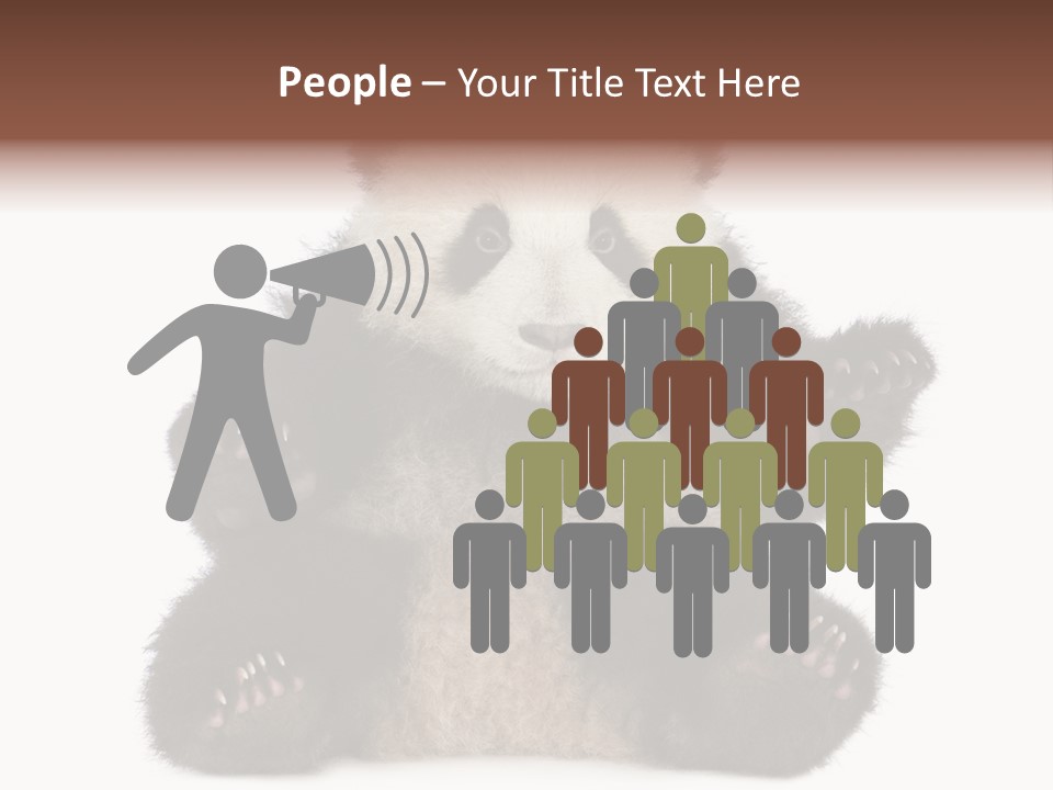 Cuddly China Ursidae PowerPoint Template