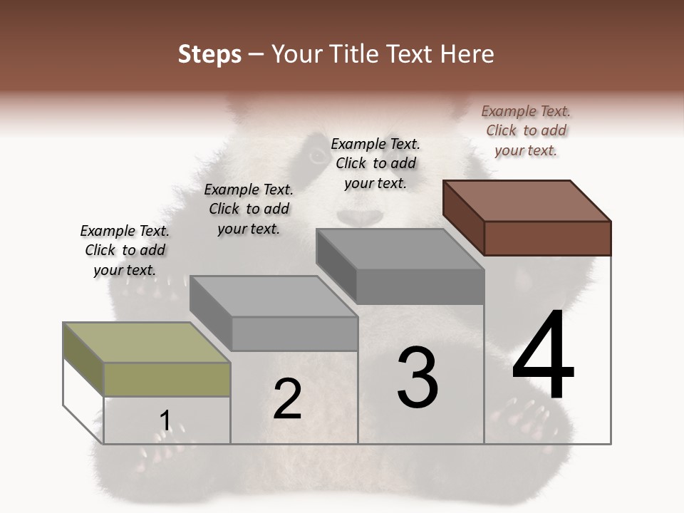 Cuddly China Ursidae PowerPoint Template