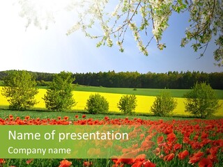 Harvesting Environmental Fuel PowerPoint Template