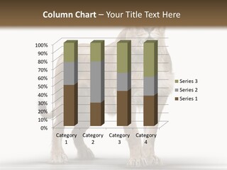 Sonnenuntergang Gefahr Safari PowerPoint Template