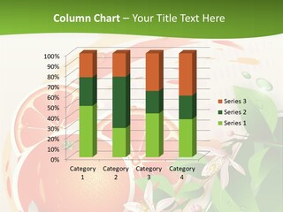 Circle Health Tasty PowerPoint Template