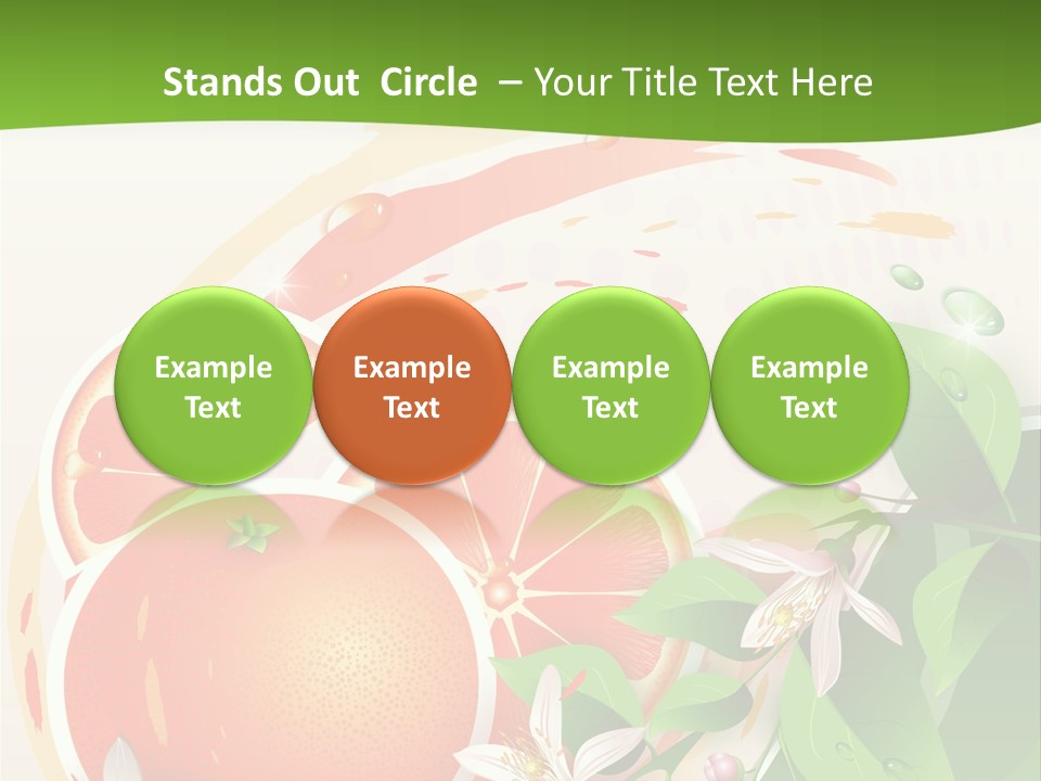 Circle Health Tasty PowerPoint Template
