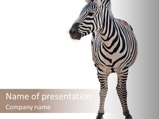 Standing Beauty Wildlife PowerPoint Template