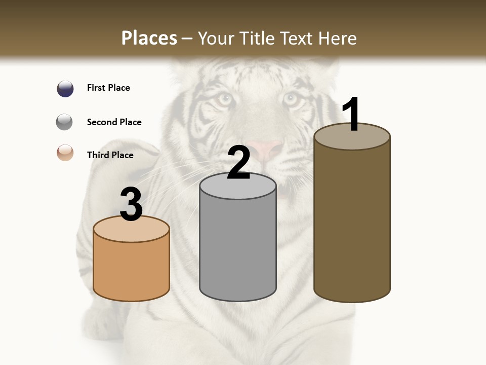 Animals Wild Isolated PowerPoint Template