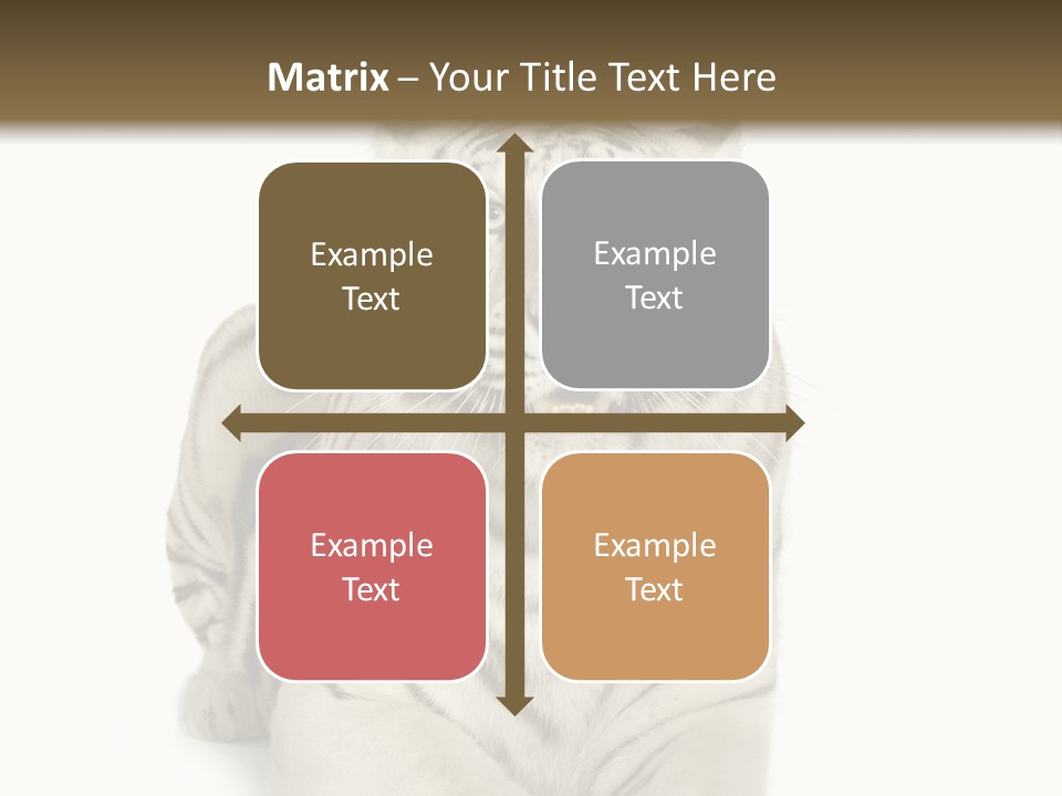 Animals Wild Isolated PowerPoint Template