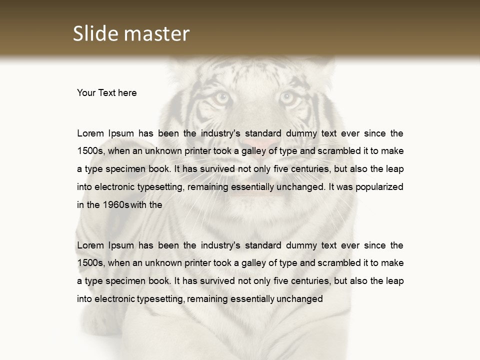 Animals Wild Isolated PowerPoint Template