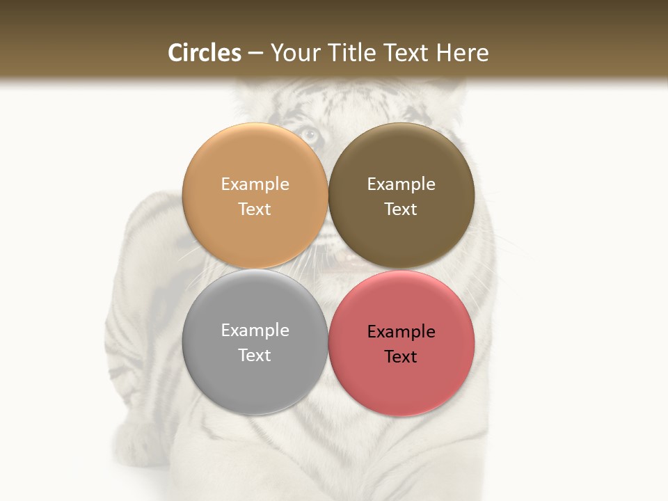 Animals Wild Isolated PowerPoint Template