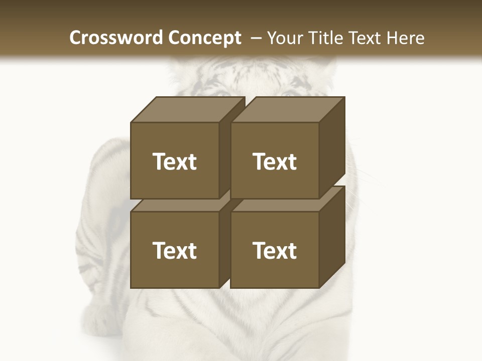 Animals Wild Isolated PowerPoint Template