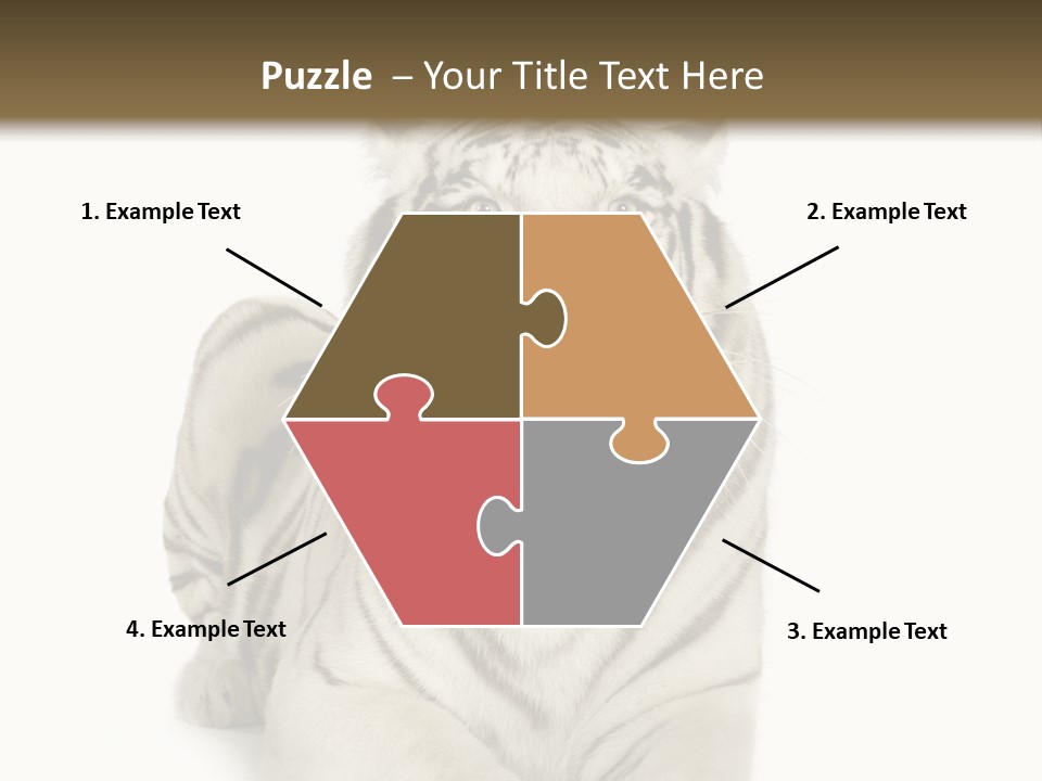 Animals Wild Isolated PowerPoint Template