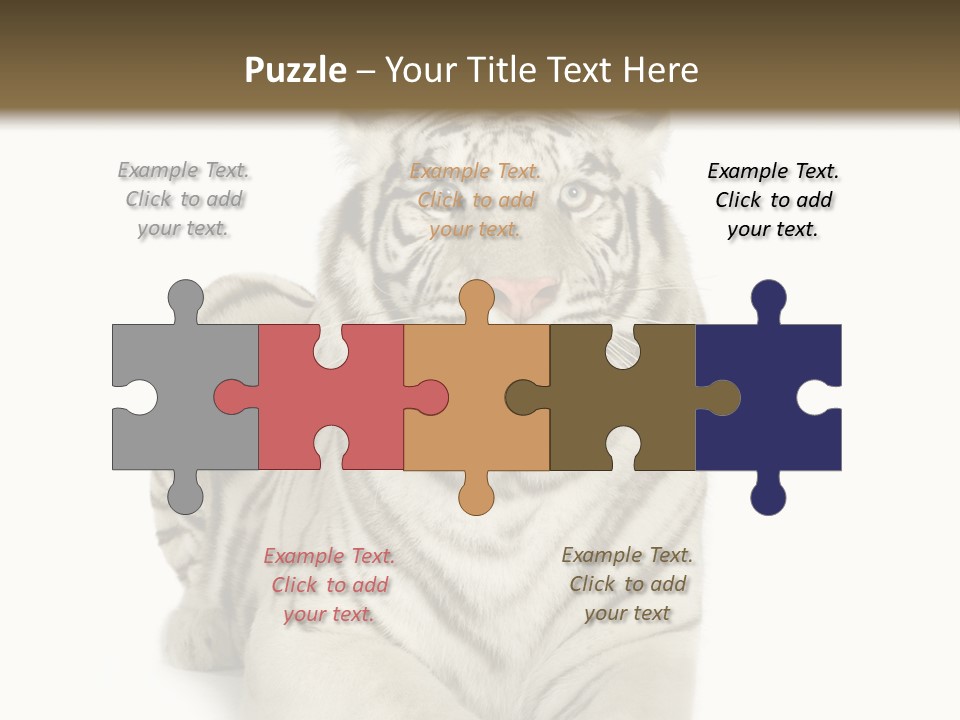 Animals Wild Isolated PowerPoint Template