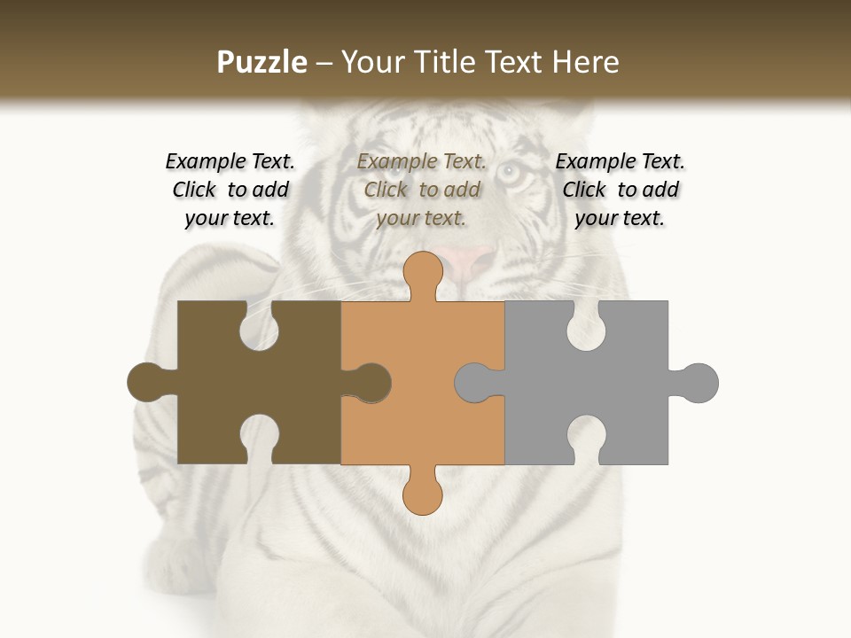 Animals Wild Isolated PowerPoint Template