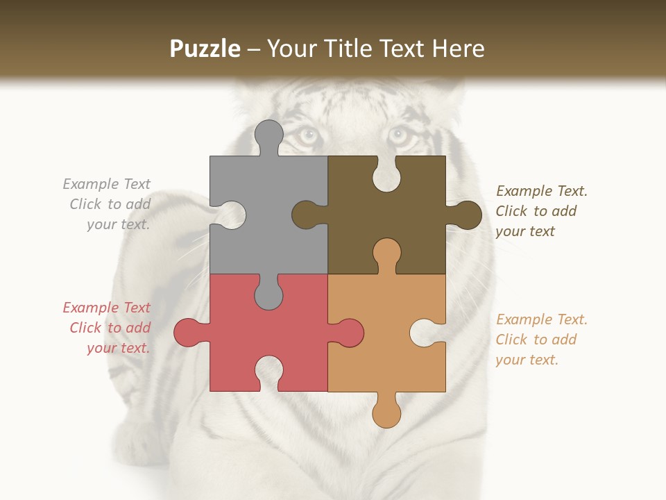 Animals Wild Isolated PowerPoint Template