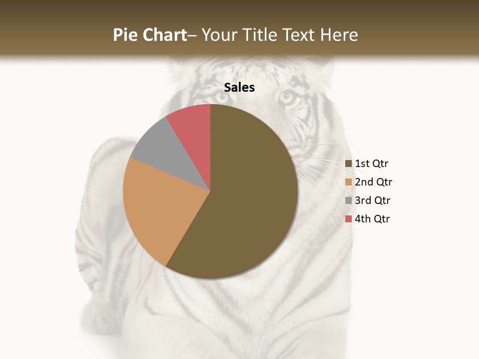 Animals Wild Isolated PowerPoint Template