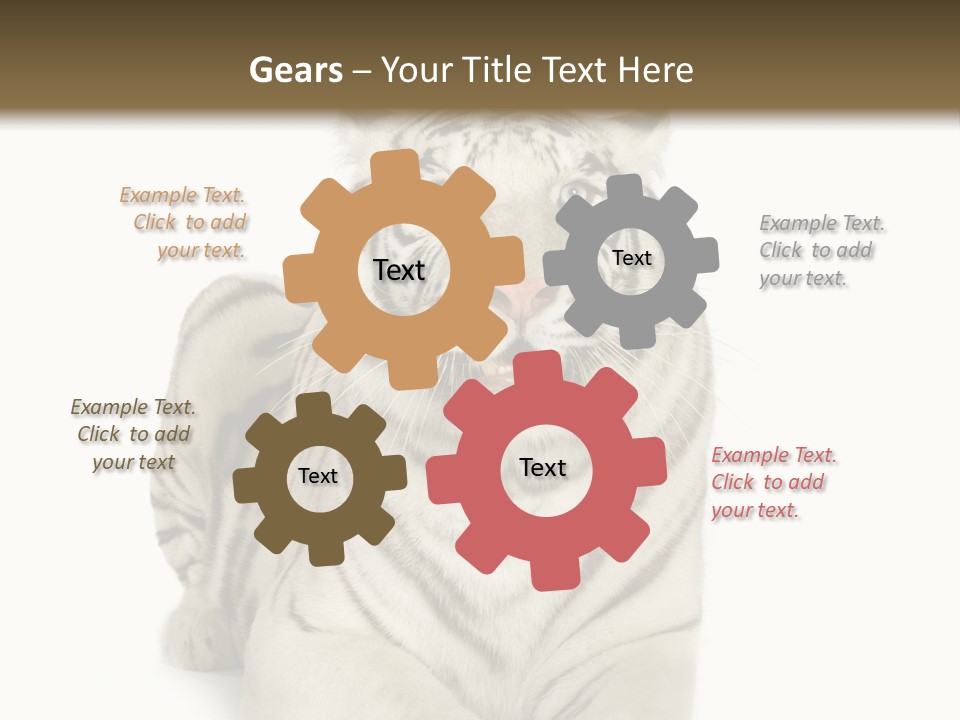 Animals Wild Isolated PowerPoint Template