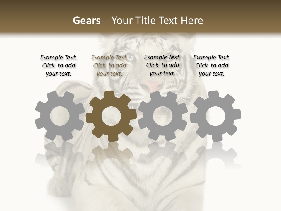 Animals Wild Isolated PowerPoint Template