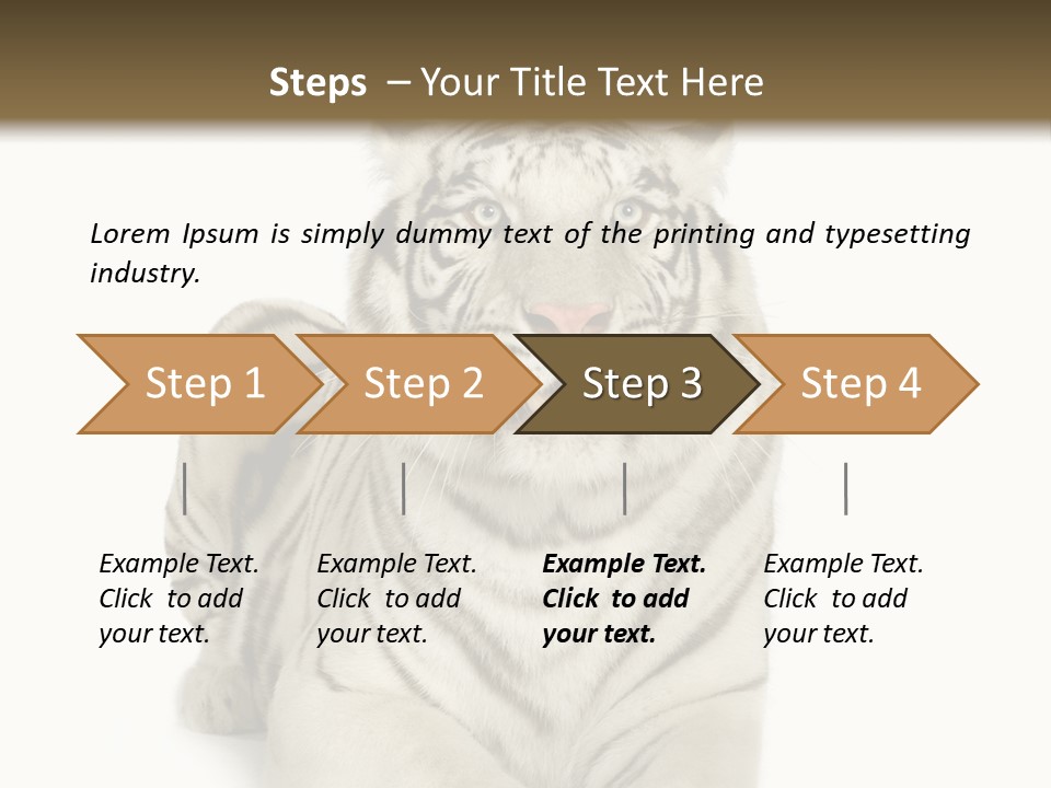 Animals Wild Isolated PowerPoint Template