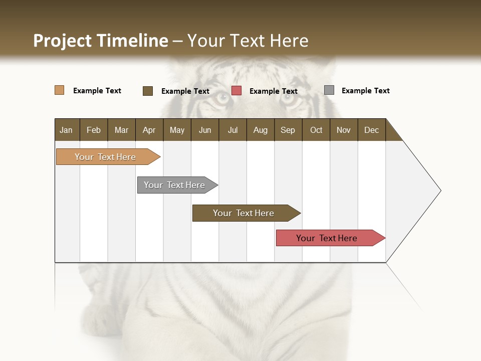 Animals Wild Isolated PowerPoint Template