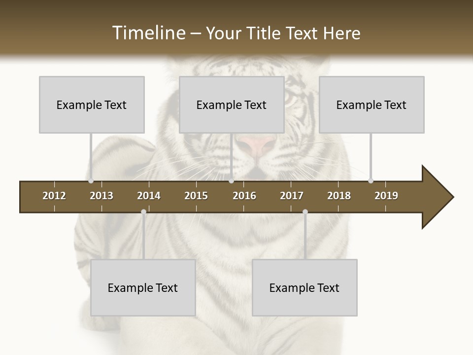 Animals Wild Isolated PowerPoint Template