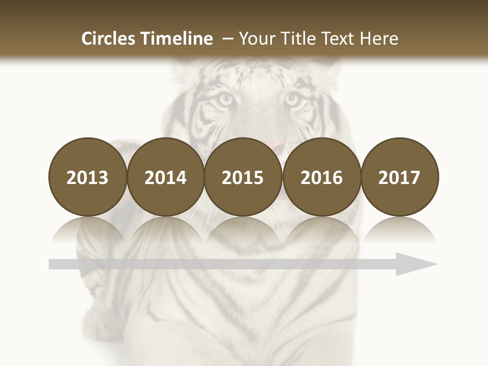 Animals Wild Isolated PowerPoint Template