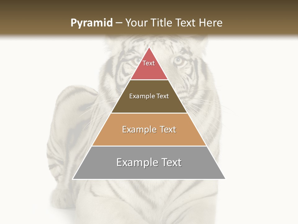 Animals Wild Isolated PowerPoint Template