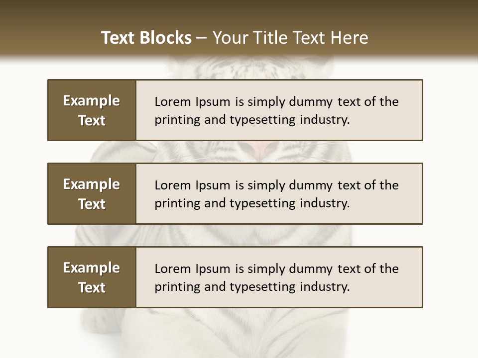 Animals Wild Isolated PowerPoint Template