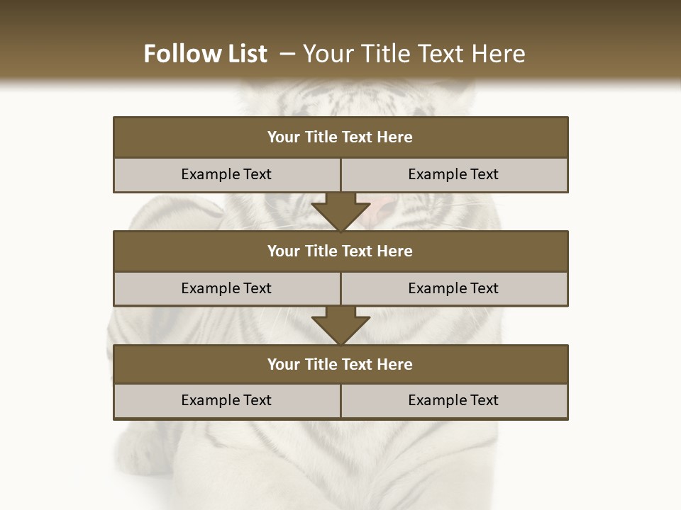 Animals Wild Isolated PowerPoint Template