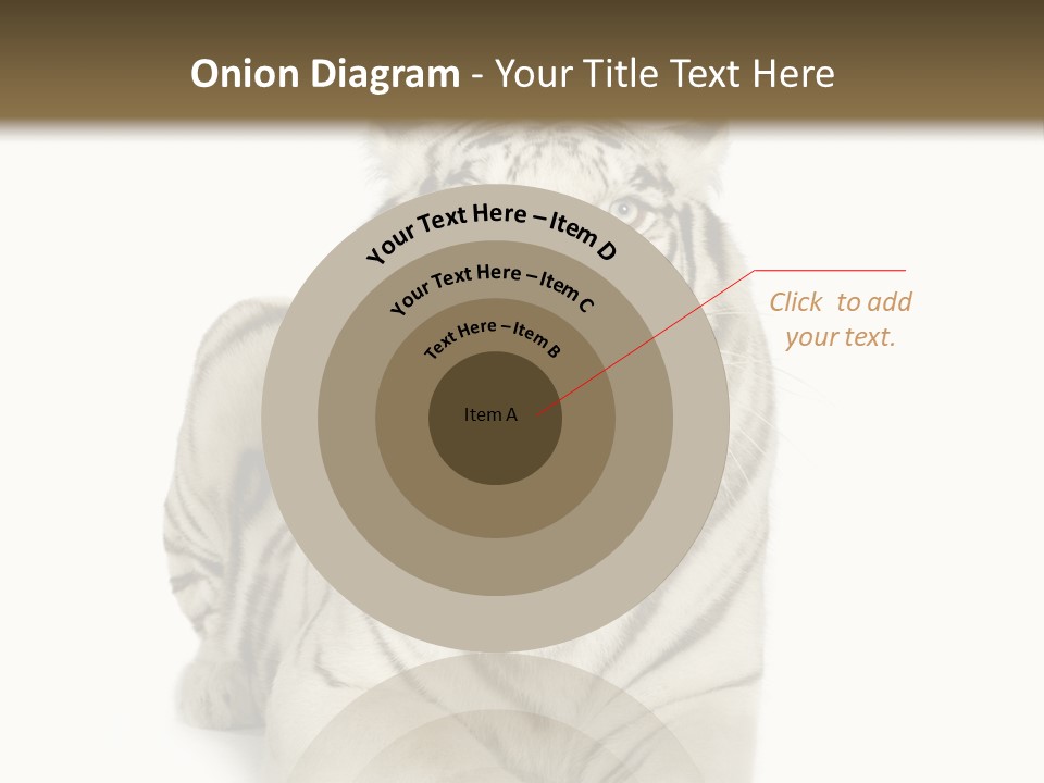 Animals Wild Isolated PowerPoint Template