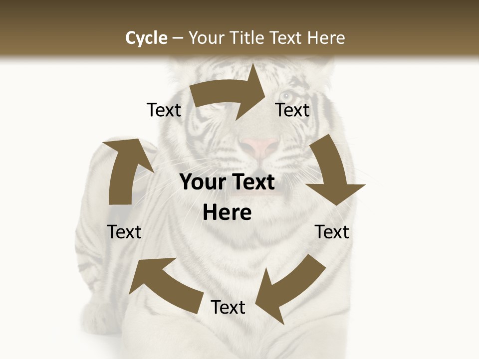 Animals Wild Isolated PowerPoint Template