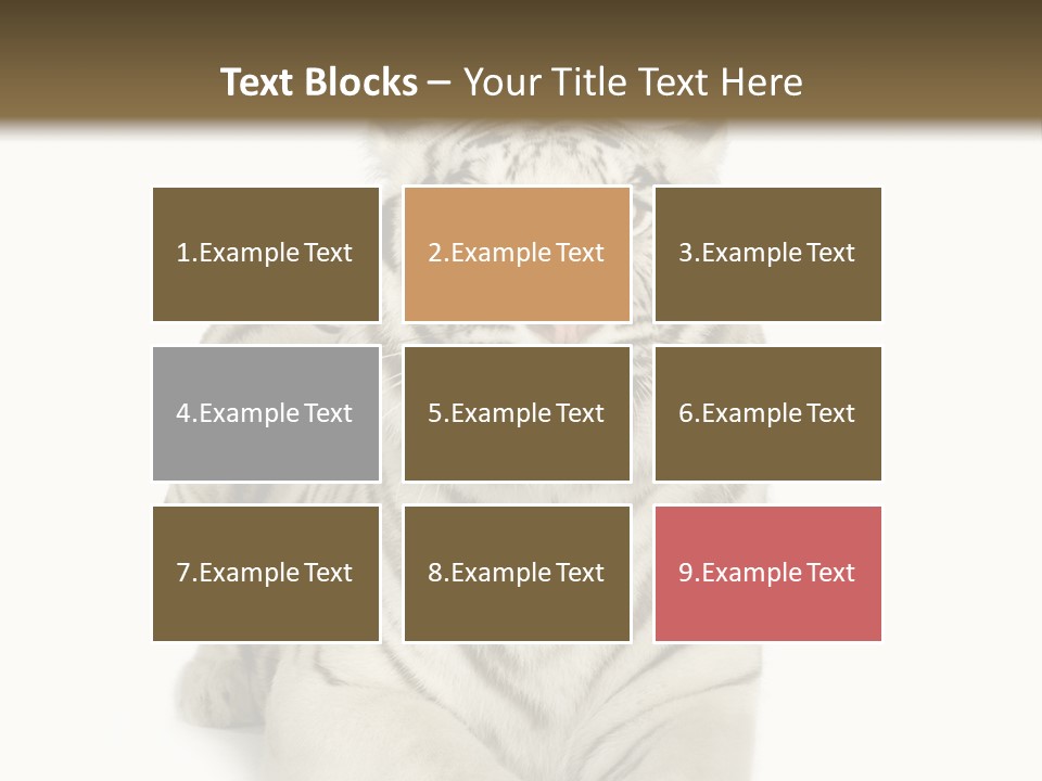 Animals Wild Isolated PowerPoint Template