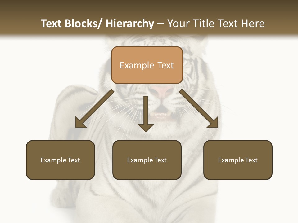 Animals Wild Isolated PowerPoint Template