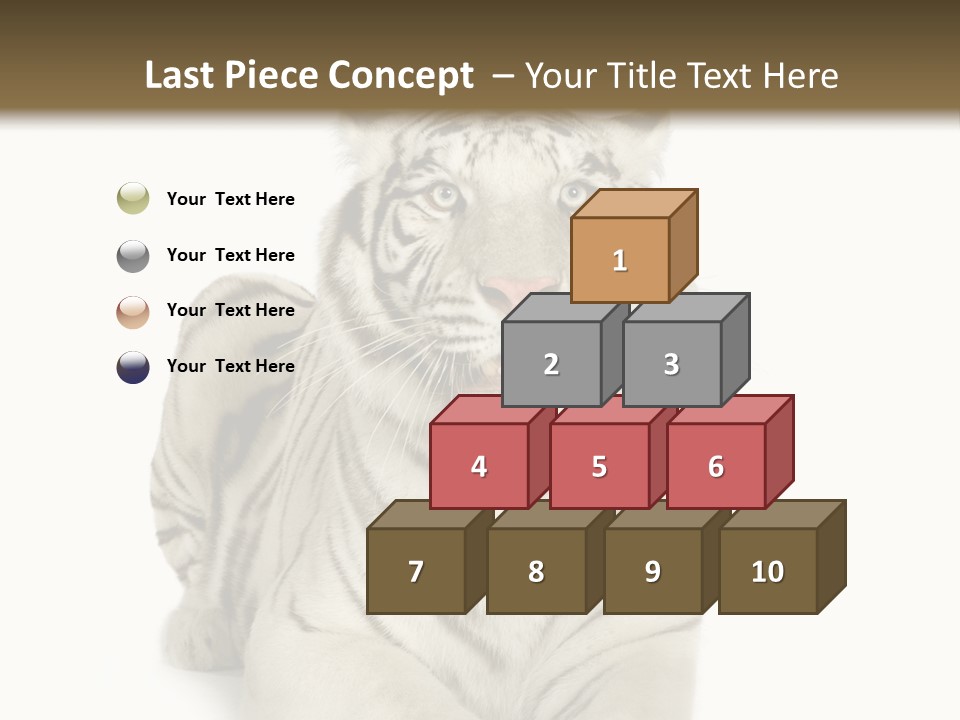 Animals Wild Isolated PowerPoint Template