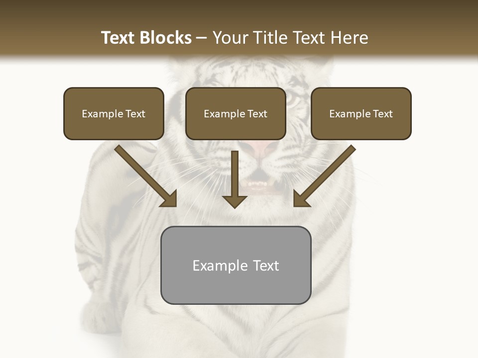 Animals Wild Isolated PowerPoint Template