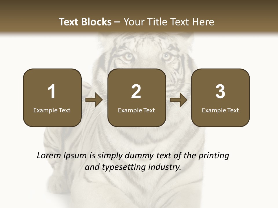 Animals Wild Isolated PowerPoint Template