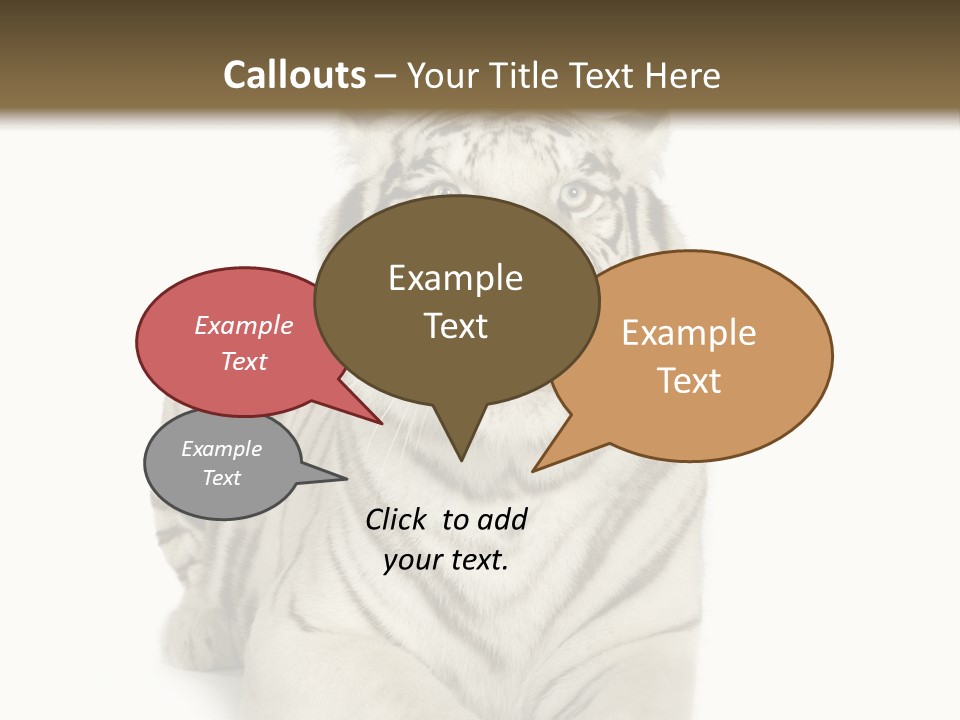 Animals Wild Isolated PowerPoint Template