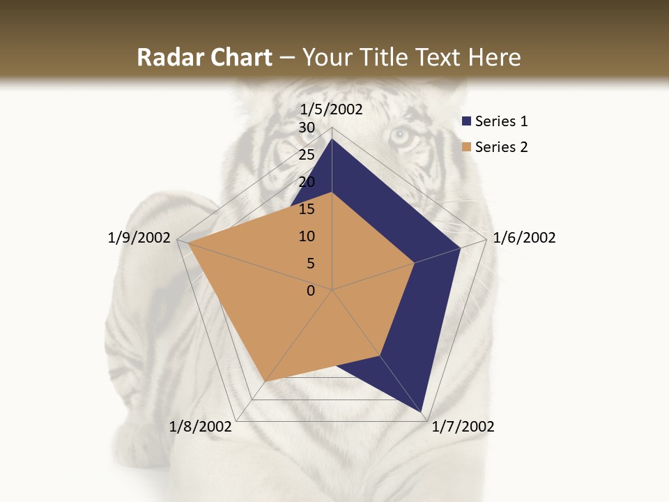 Animals Wild Isolated PowerPoint Template