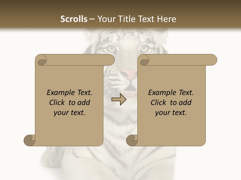 Animals Wild Isolated PowerPoint Template