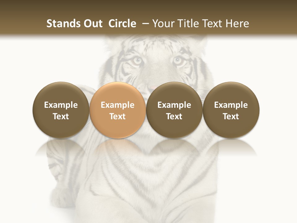 Animals Wild Isolated PowerPoint Template