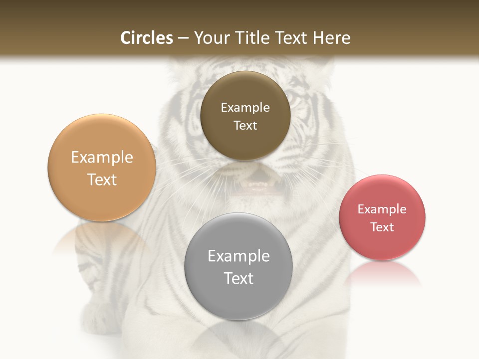 Animals Wild Isolated PowerPoint Template