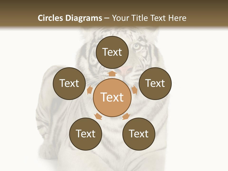 Animals Wild Isolated PowerPoint Template