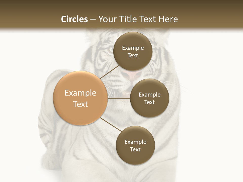 Animals Wild Isolated PowerPoint Template