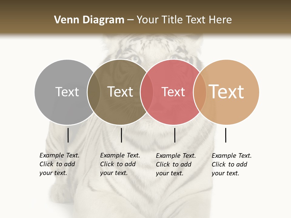 Animals Wild Isolated PowerPoint Template