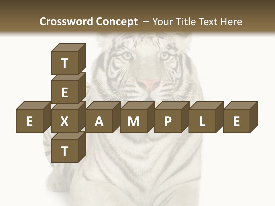 Animals Wild Isolated PowerPoint Template