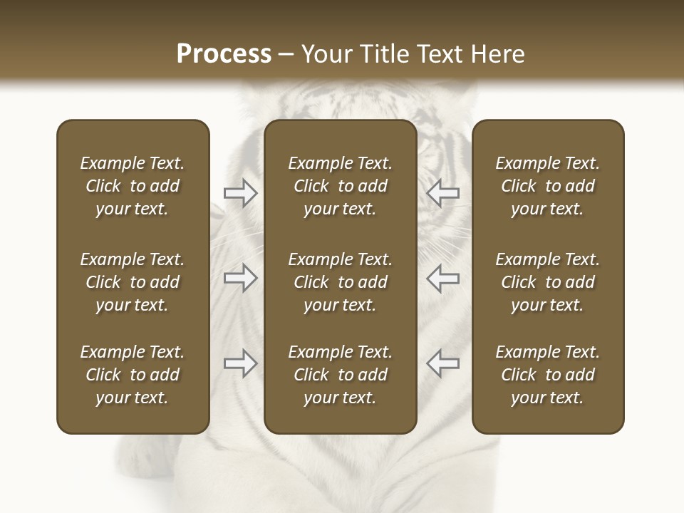 Animals Wild Isolated PowerPoint Template