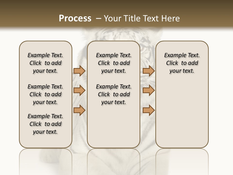 Animals Wild Isolated PowerPoint Template