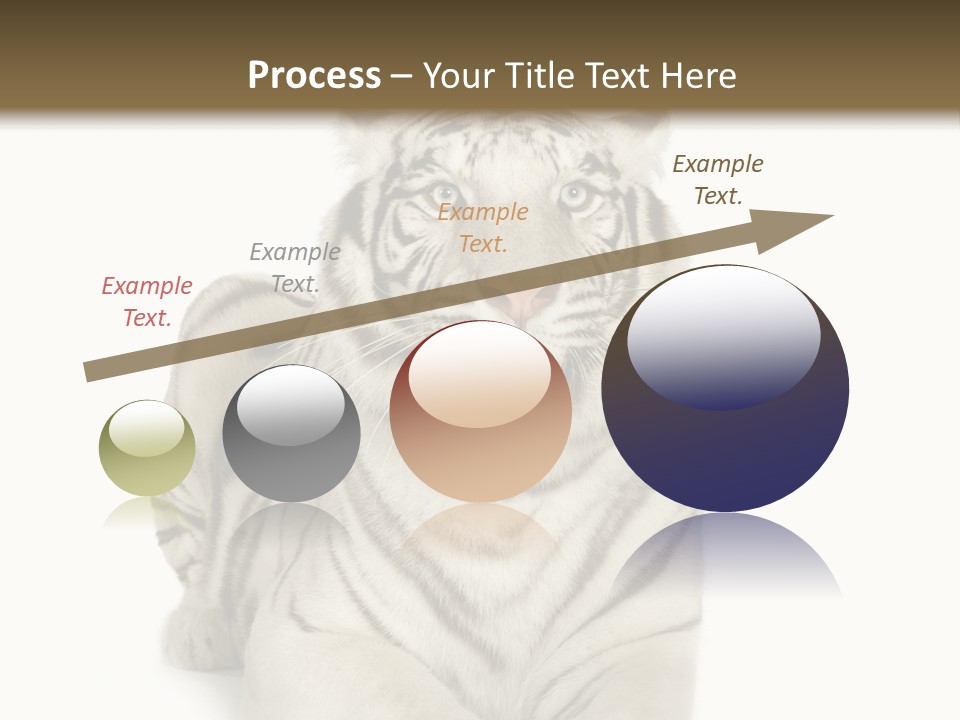 Animals Wild Isolated PowerPoint Template